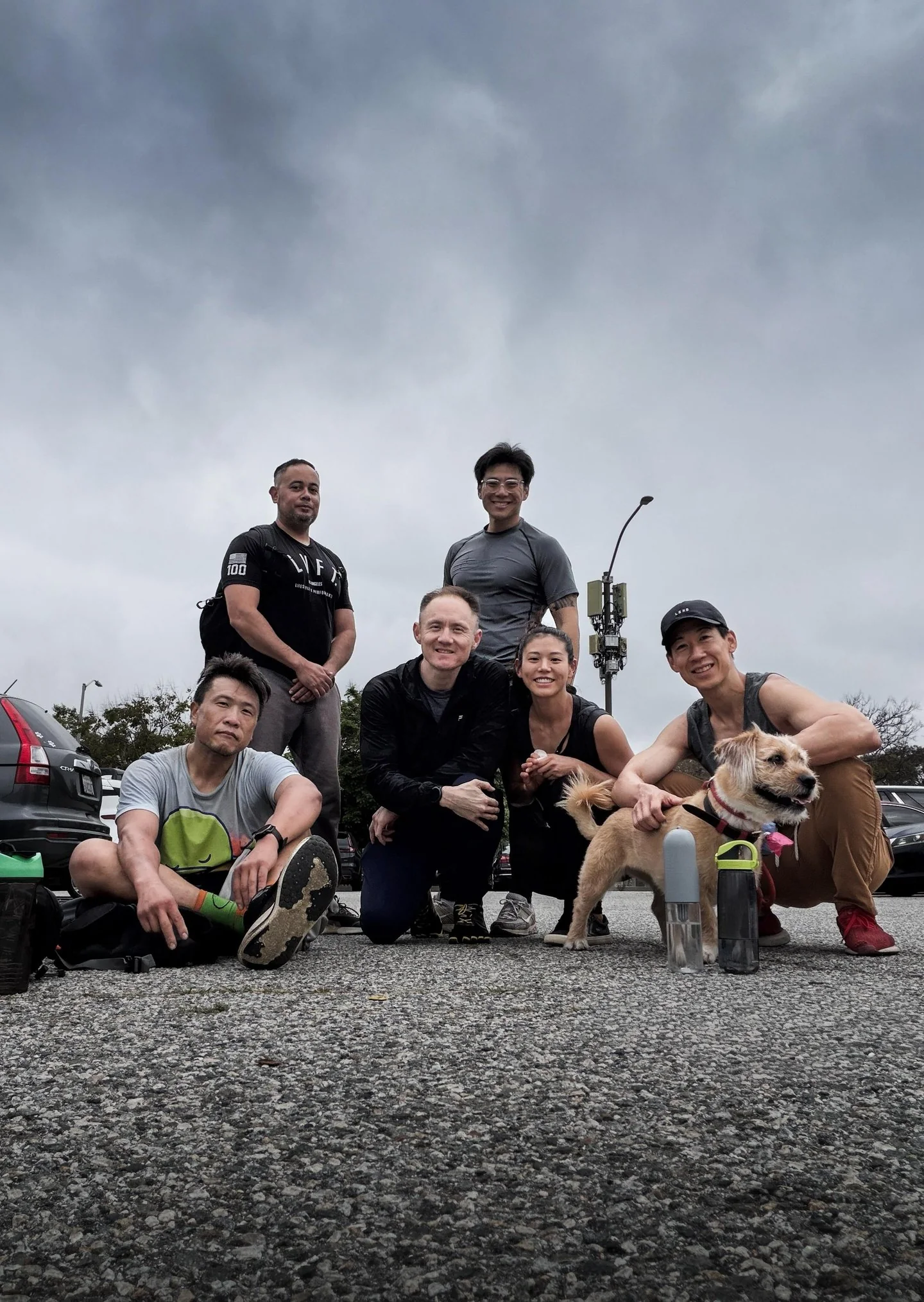 A hiking group with dogs on a rocky summit.